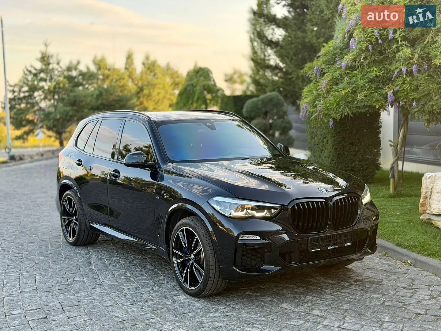 2019 BMW X5 - мініатюра 41