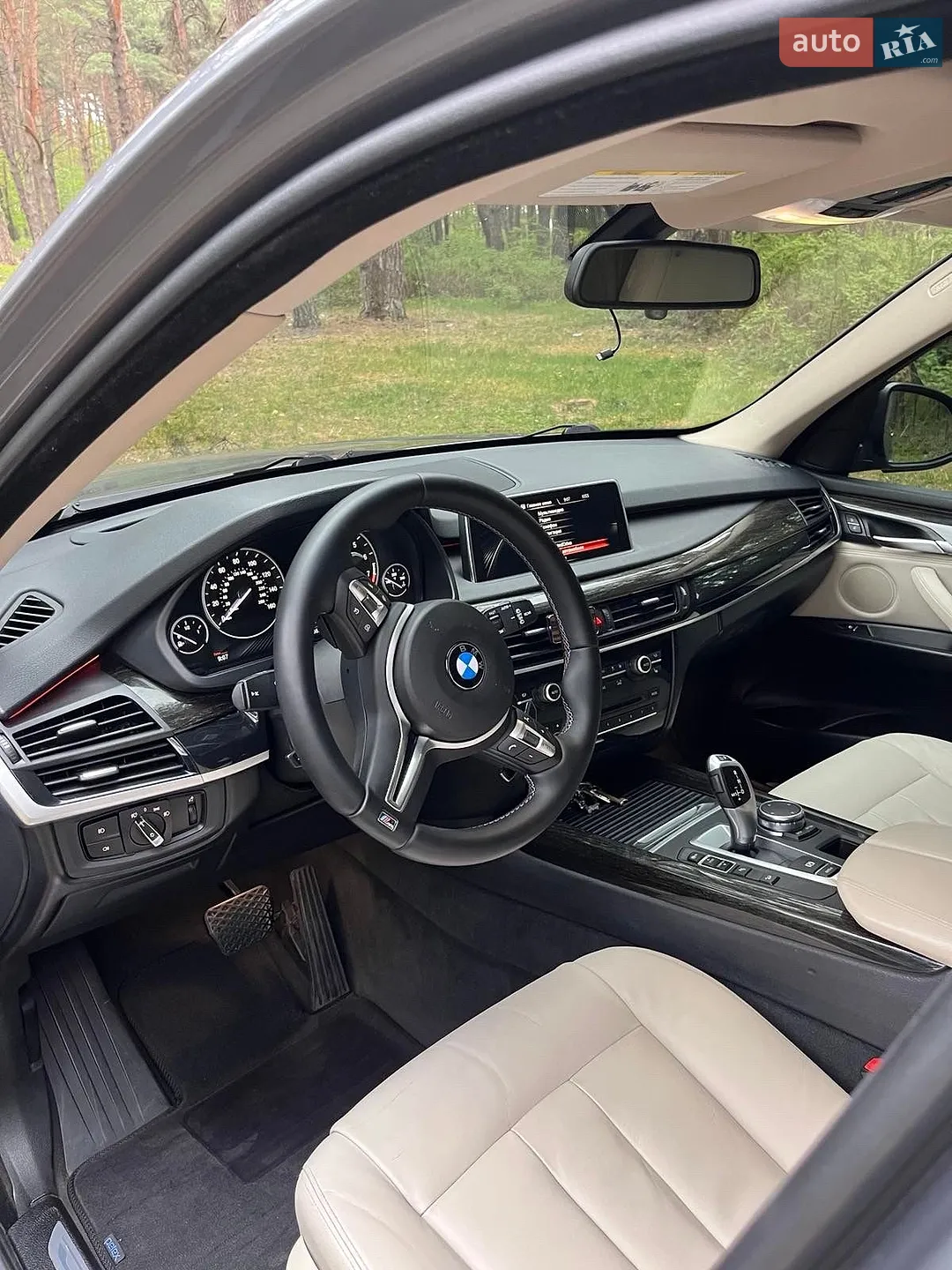 2014 BMW X5 - мініатюра 7