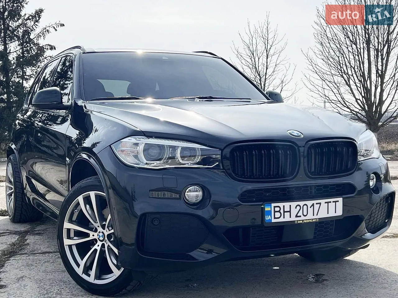 2018 BMW X5 - мініатюра 8