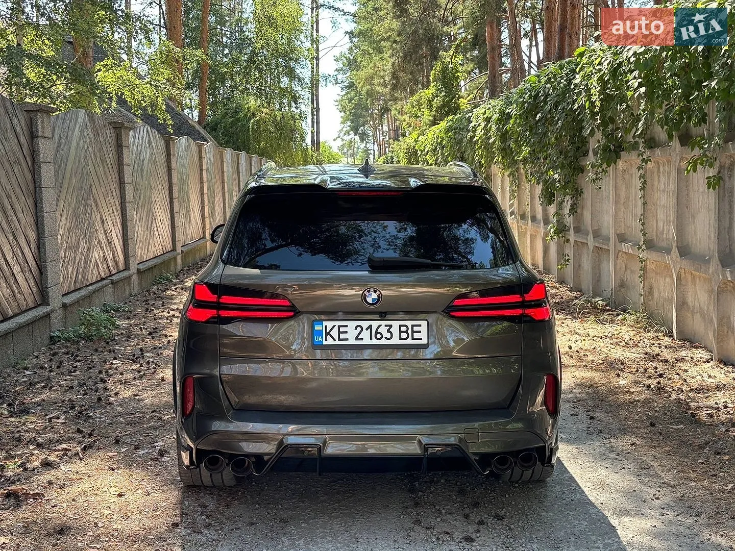 2020 BMW X5 - мініатюра 5