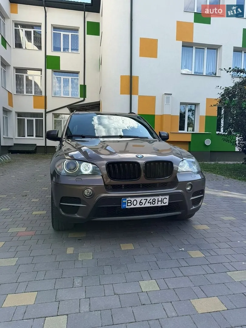 2010 BMW X5 - мініатюра 4