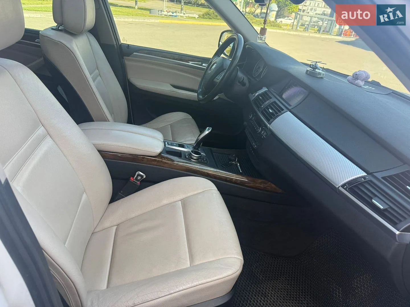 2010 BMW X5 - мініатюра 12