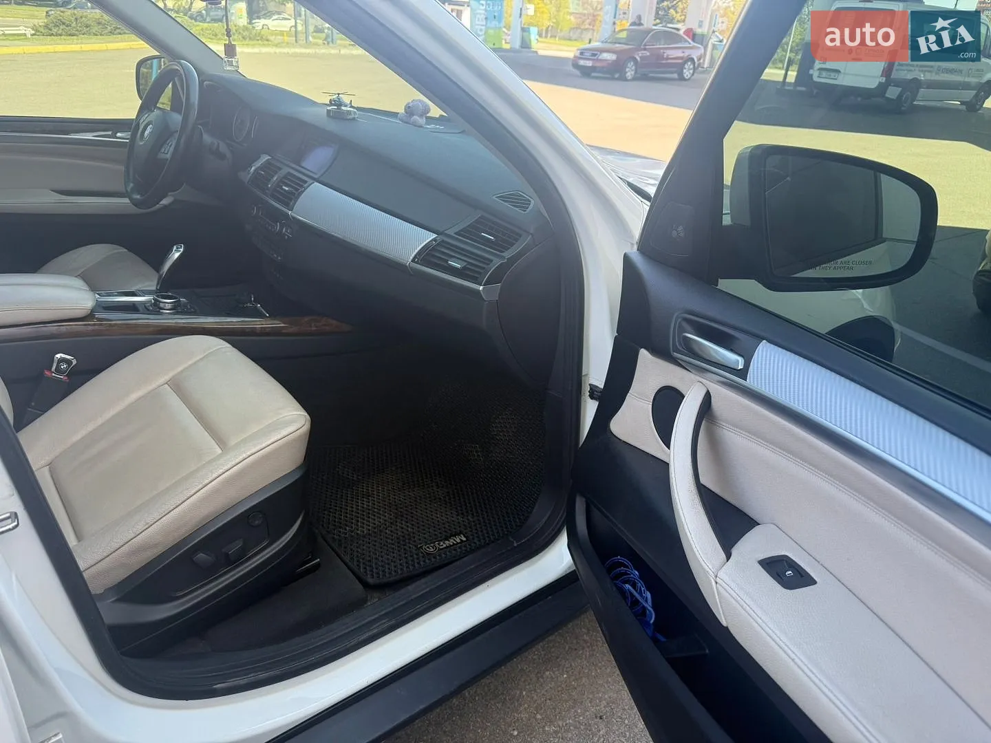 2010 BMW X5 - мініатюра 11