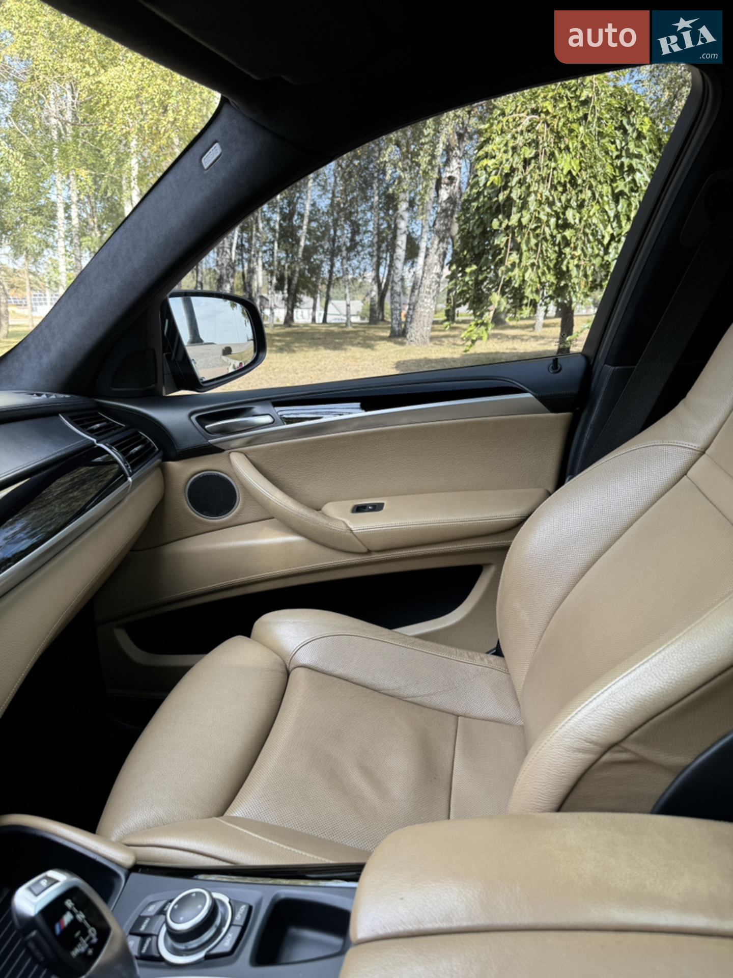 2012 BMW X6 M - мініатюра 25