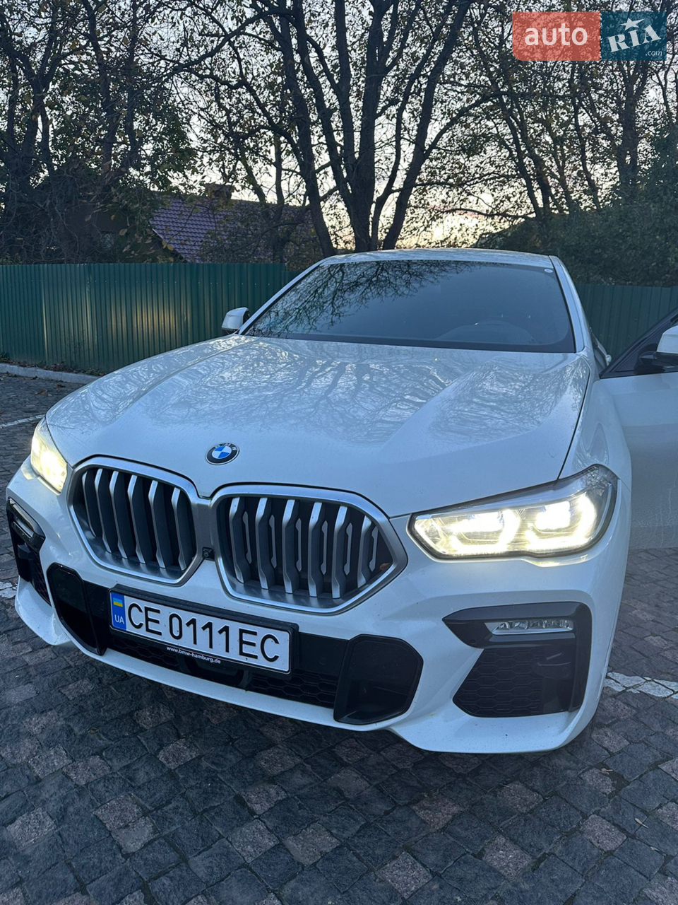 2020 BMW X6 - мініатюра 14