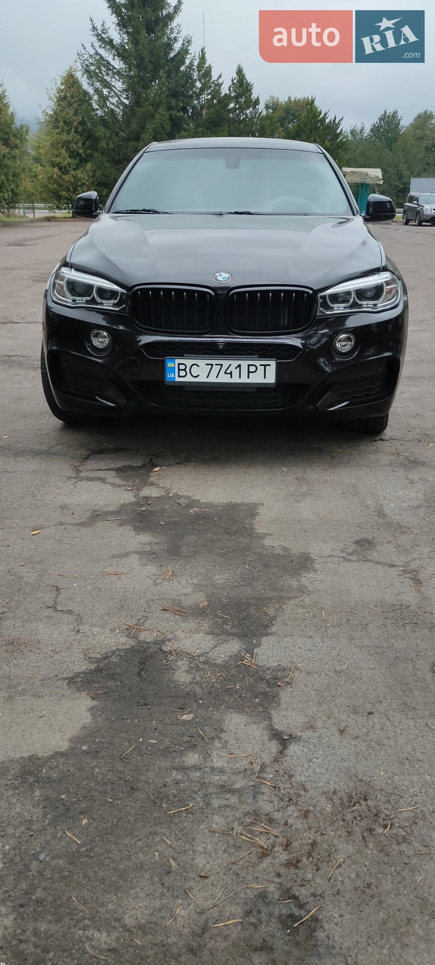 2017 BMW X6 - мініатюра 18