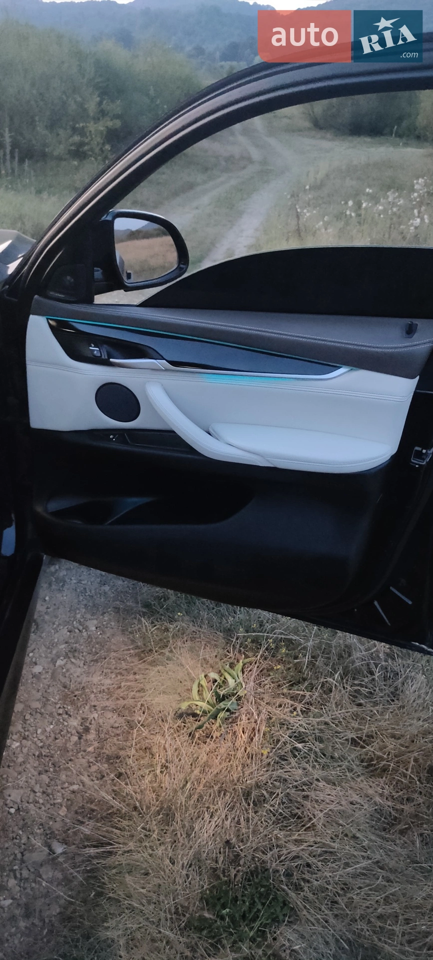 2017 BMW X6 - мініатюра 34