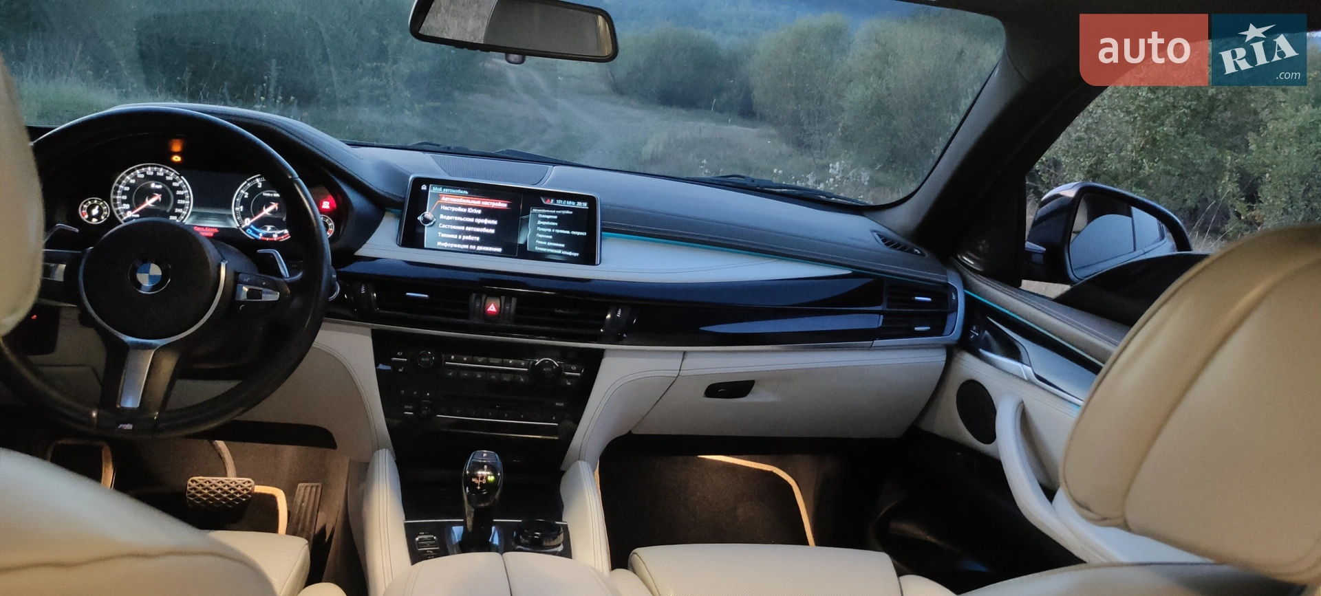 2017 BMW X6 - мініатюра 37
