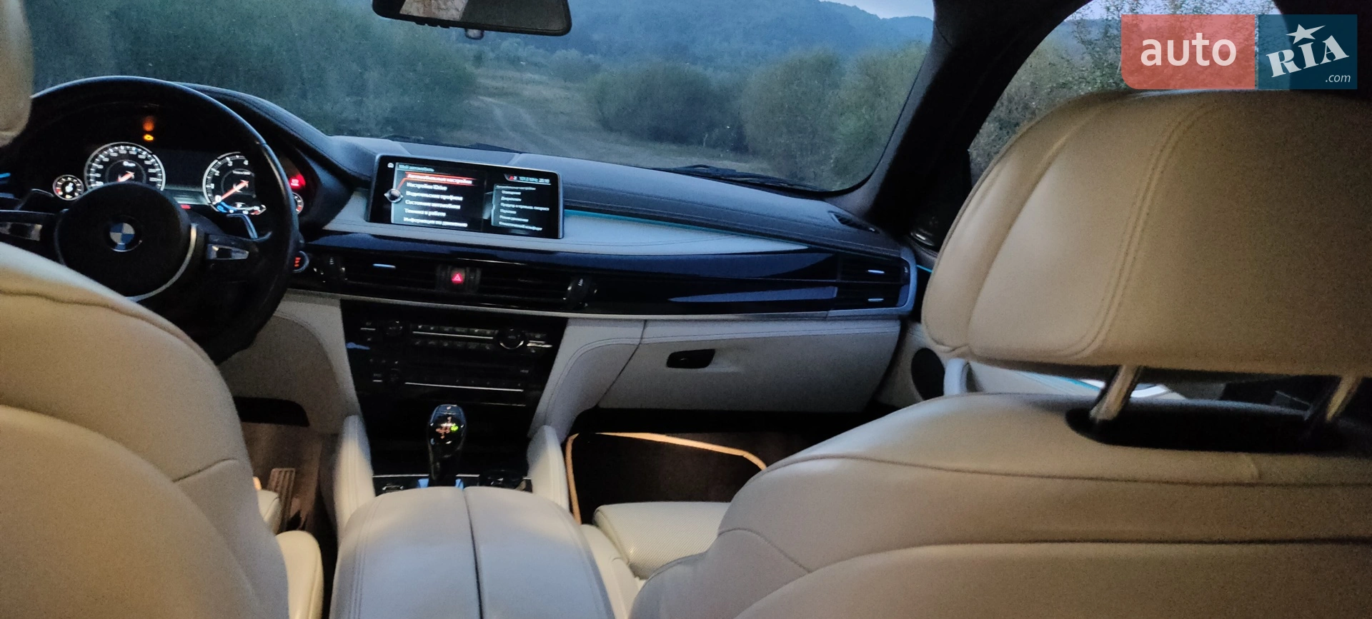 2017 BMW X6 - мініатюра 40