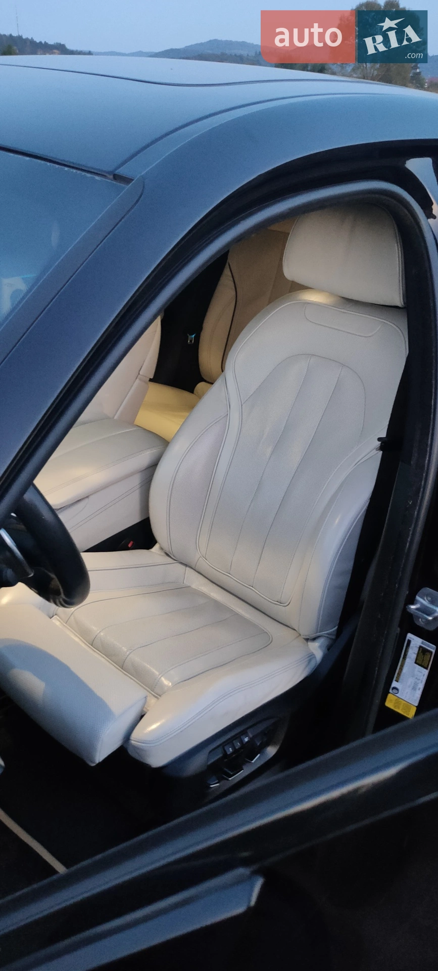 2017 BMW X6 - мініатюра 44