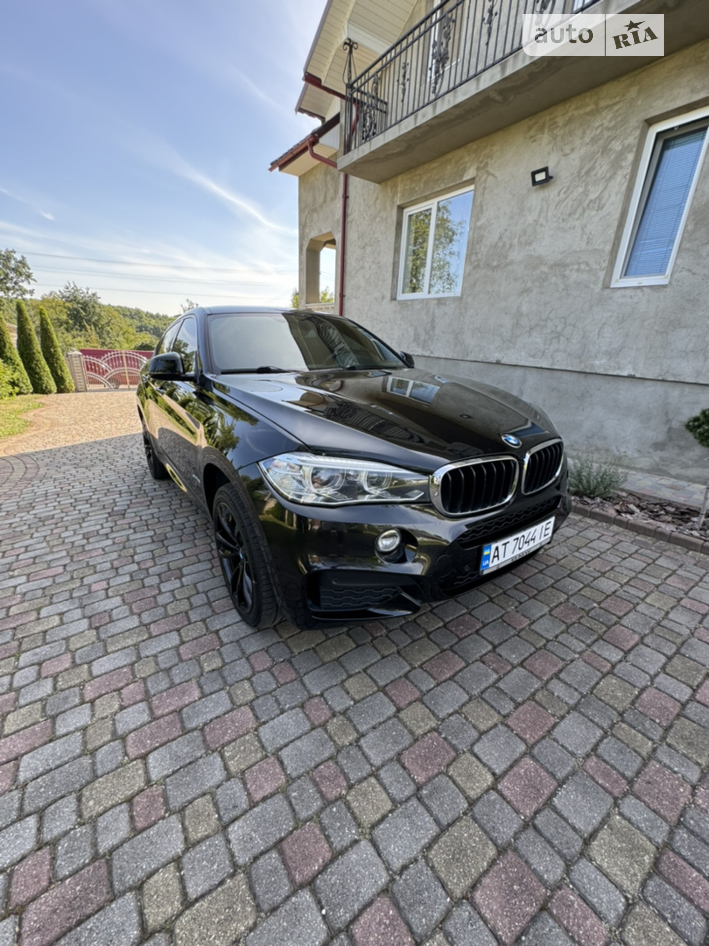 2017 BMW X6 - мініатюра 5