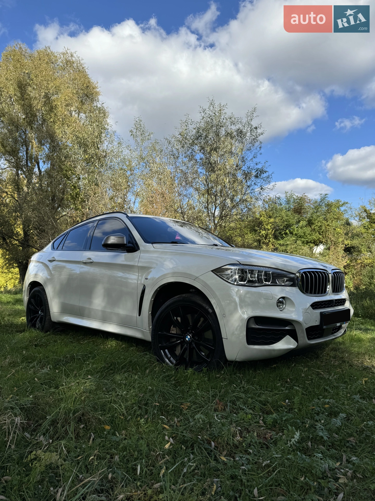 2018 BMW X6 - мініатюра 5