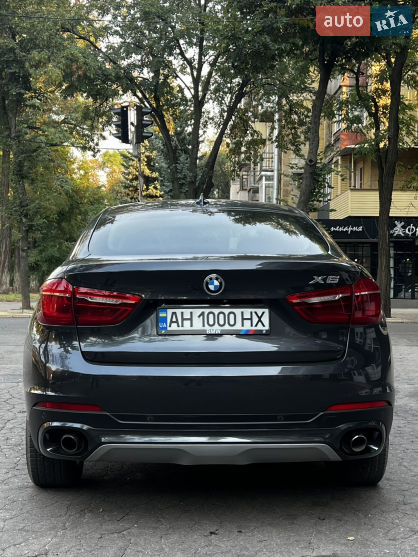 2015 BMW X6 - мініатюра 3