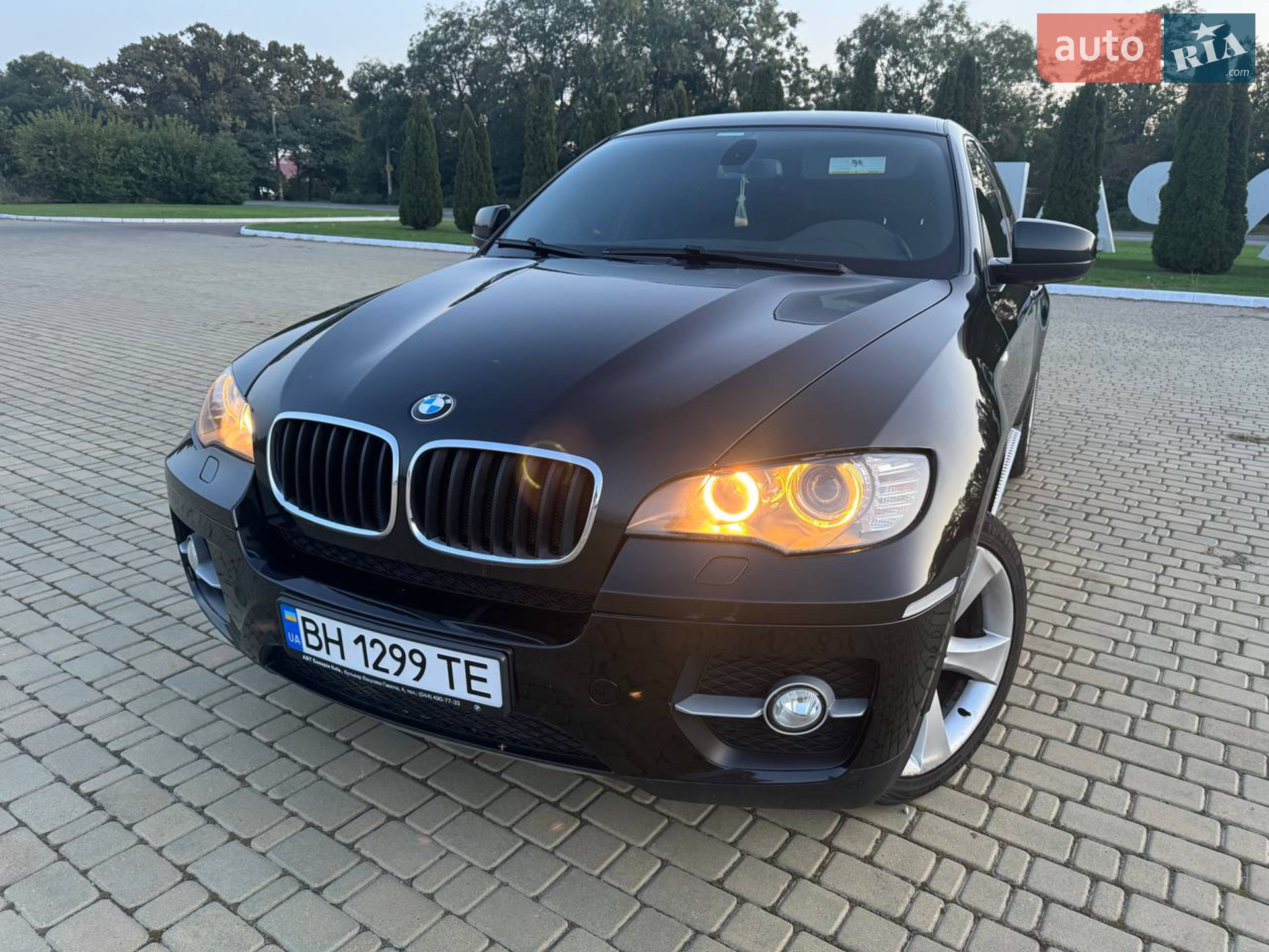 2012 BMW X6 - мініатюра 4