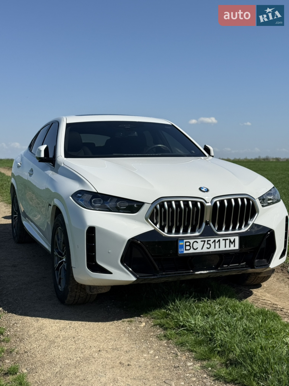 2023 BMW X6 - мініатюра 44