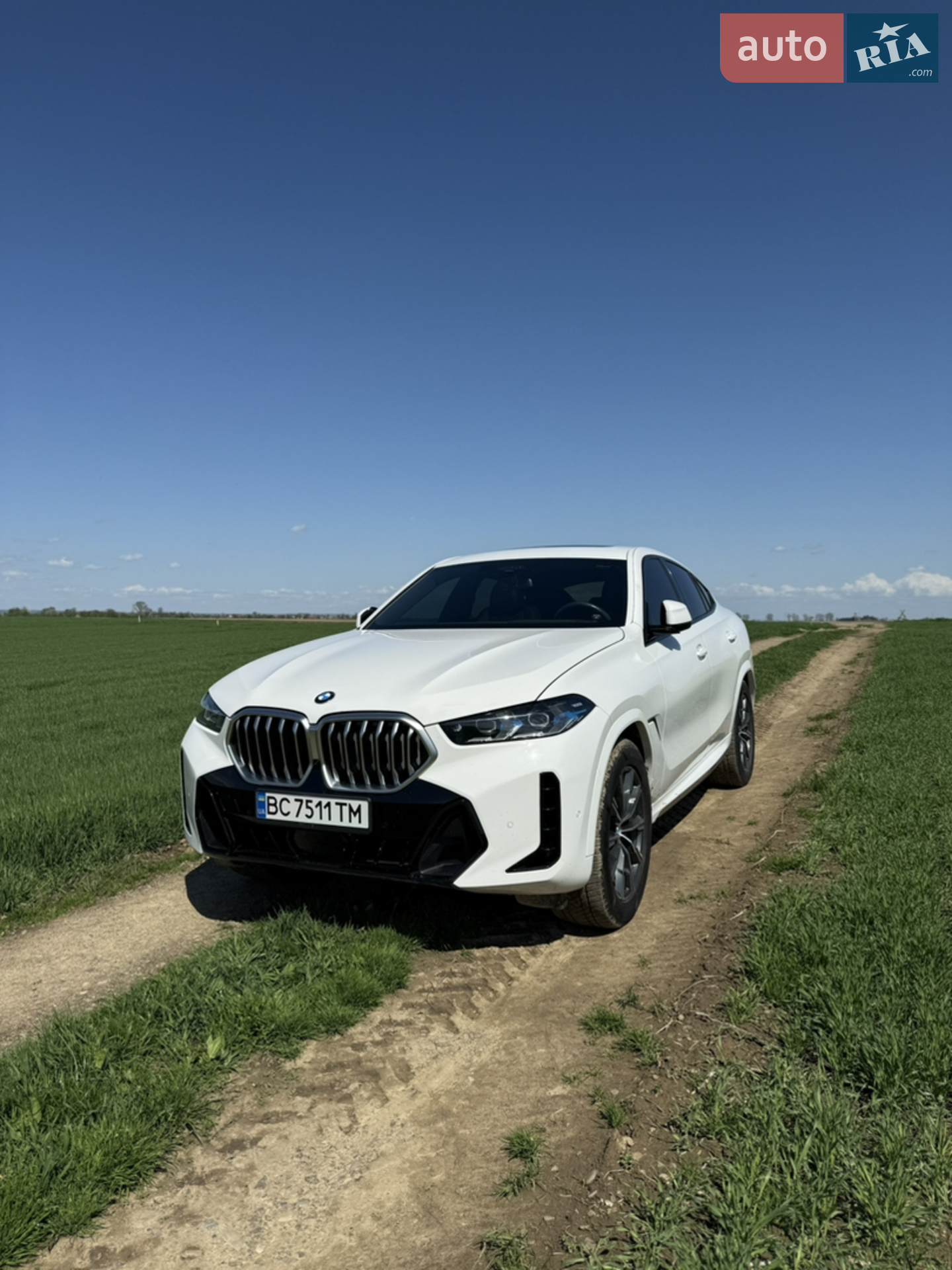 2023 BMW X6 - мініатюра 2