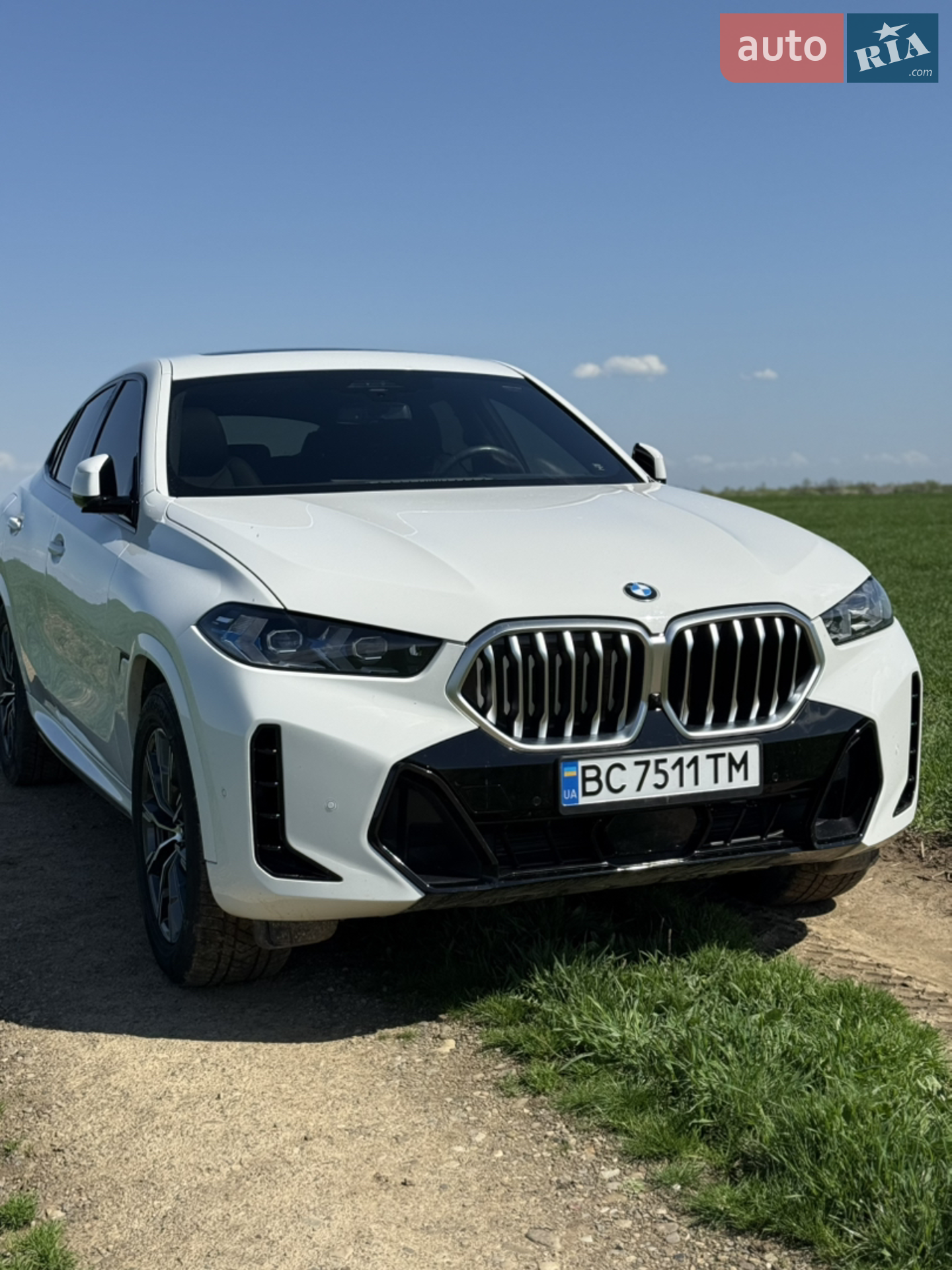 2023 BMW X6 - мініатюра 3