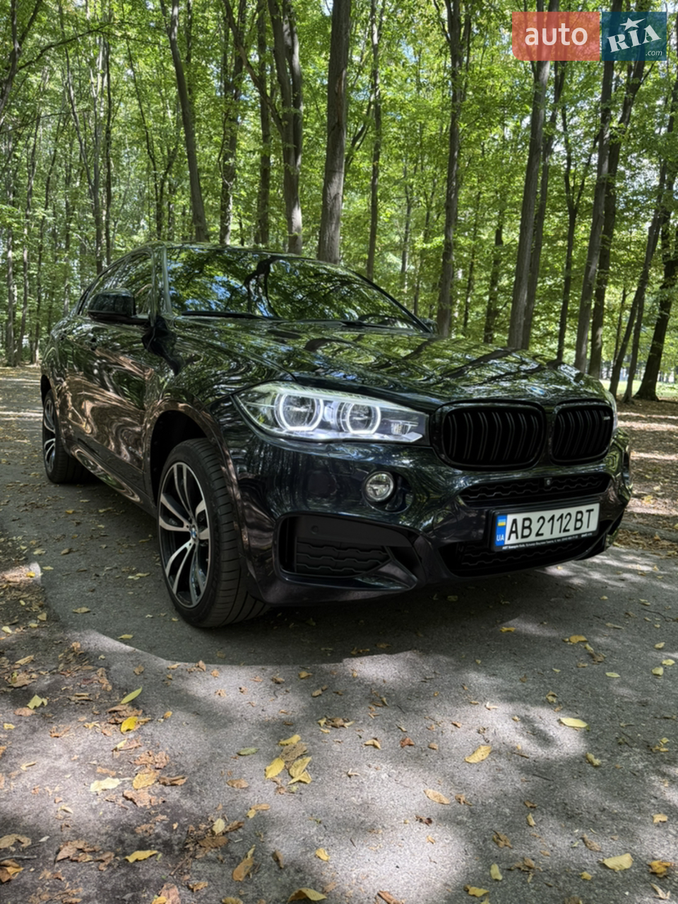 2019 BMW X6 - мініатюра 18