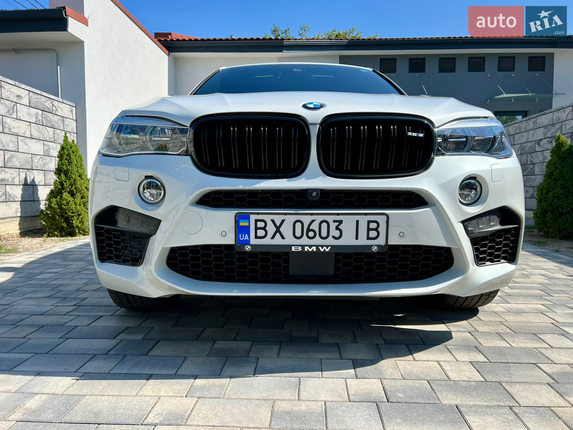 2017 BMW X6 - мініатюра 4