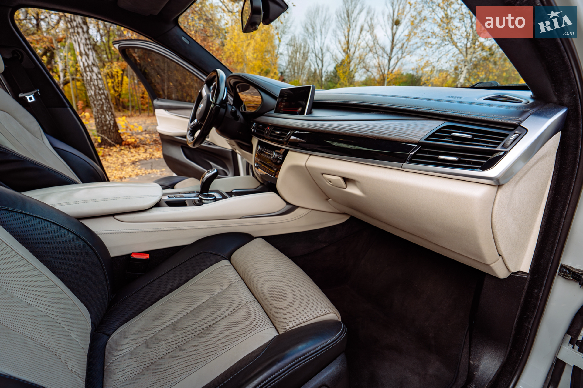 2015 BMW X6 - мініатюра 12
