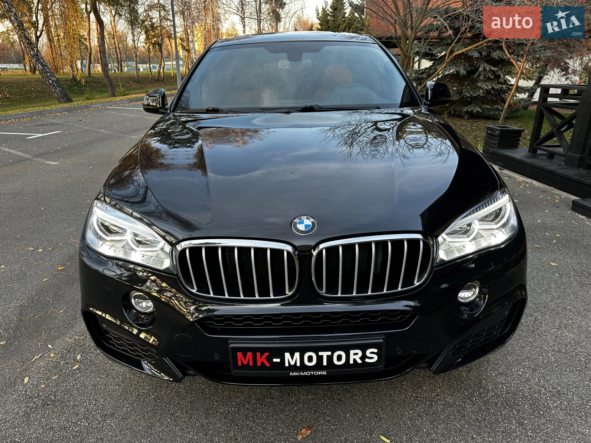 2015 BMW X6 - мініатюра 19