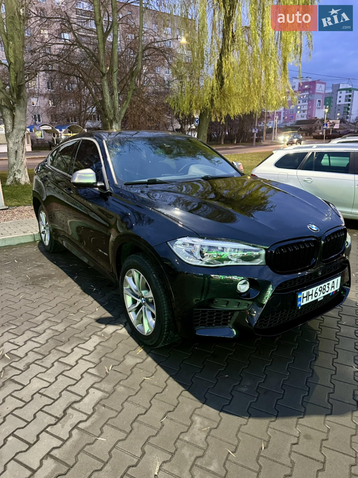 2019 BMW X6 - мініатюра 2