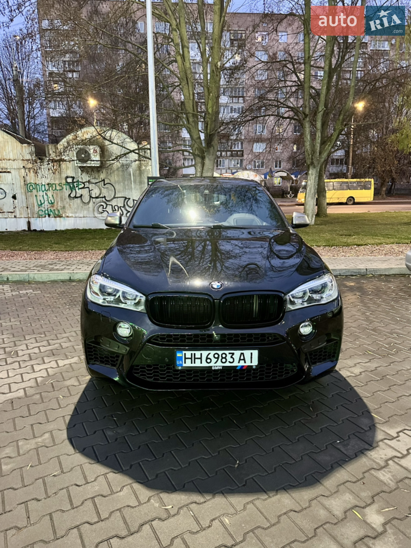 2019 BMW X6 - мініатюра 3