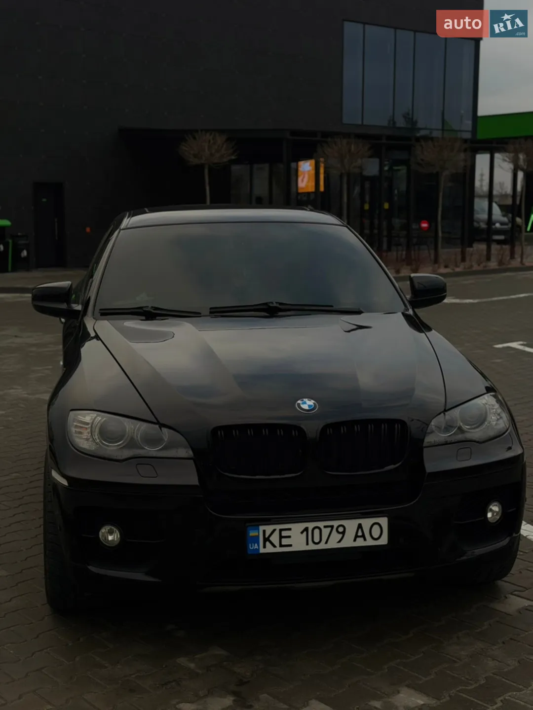 2010 BMW X6 - мініатюра 2
