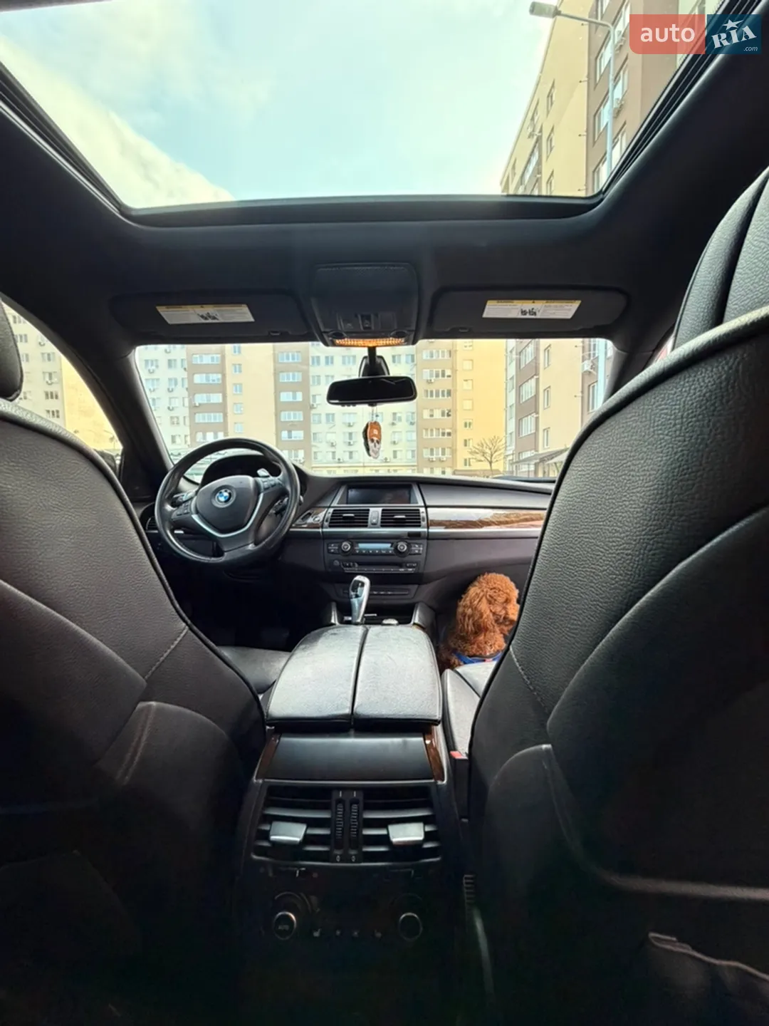 2010 BMW X6 - мініатюра 17