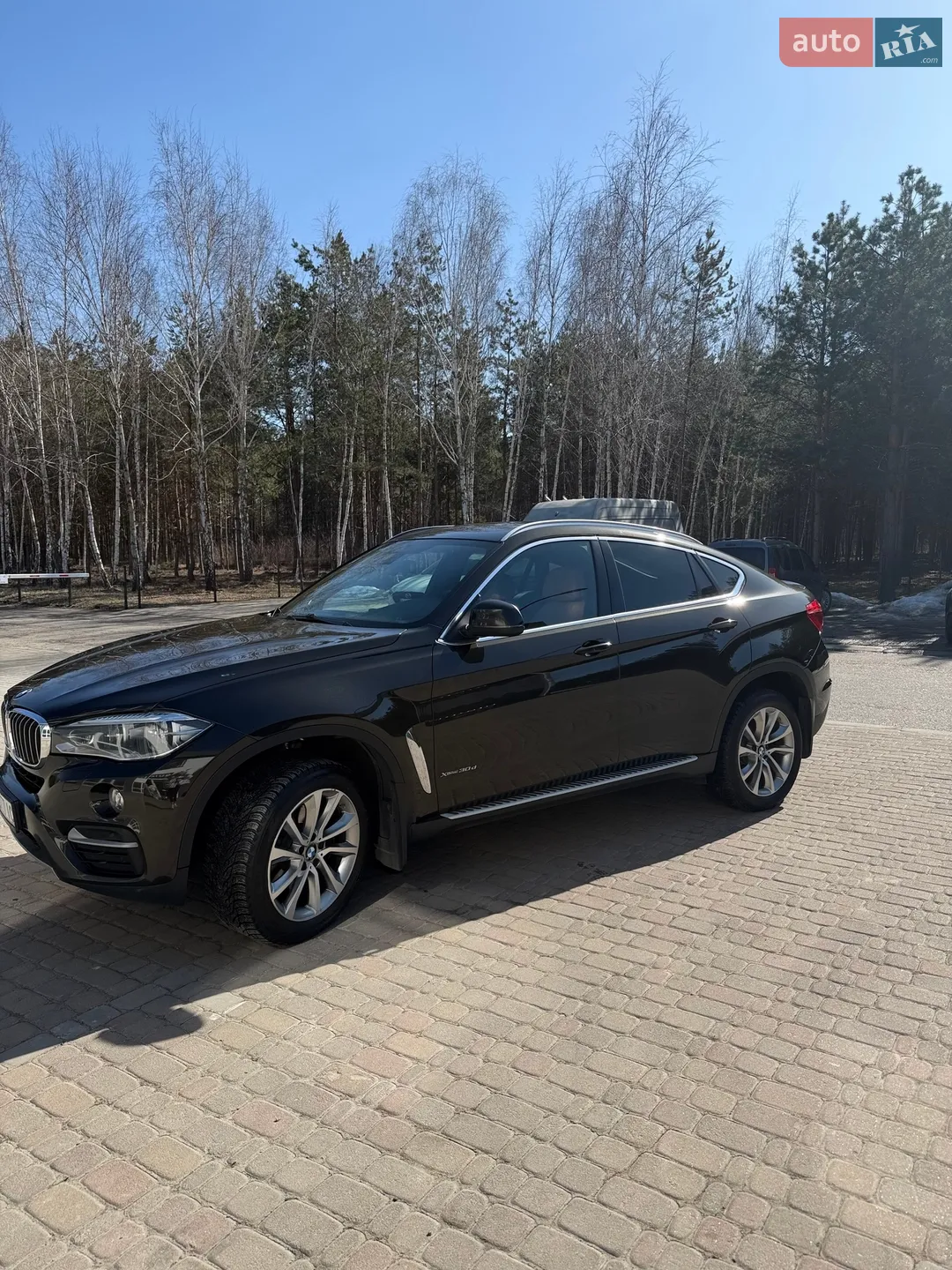 2017 BMW X6 - мініатюра 4