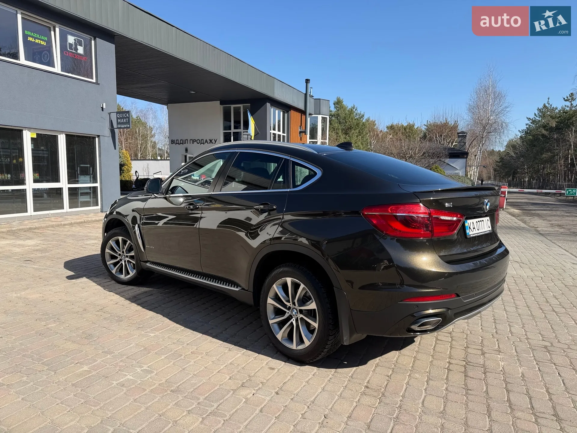 2017 BMW X6 - мініатюра 2