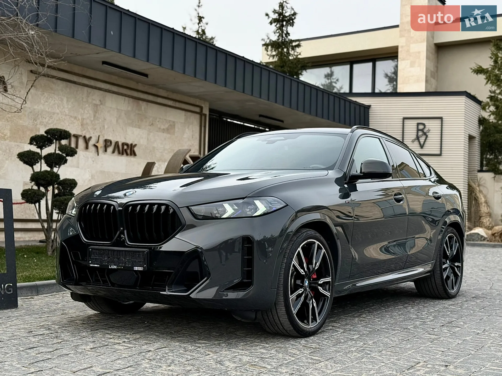 2023 BMW X6 - мініатюра 9