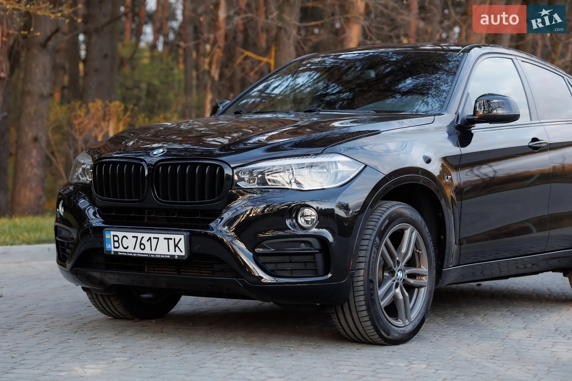 2017 BMW X6 - мініатюра 4