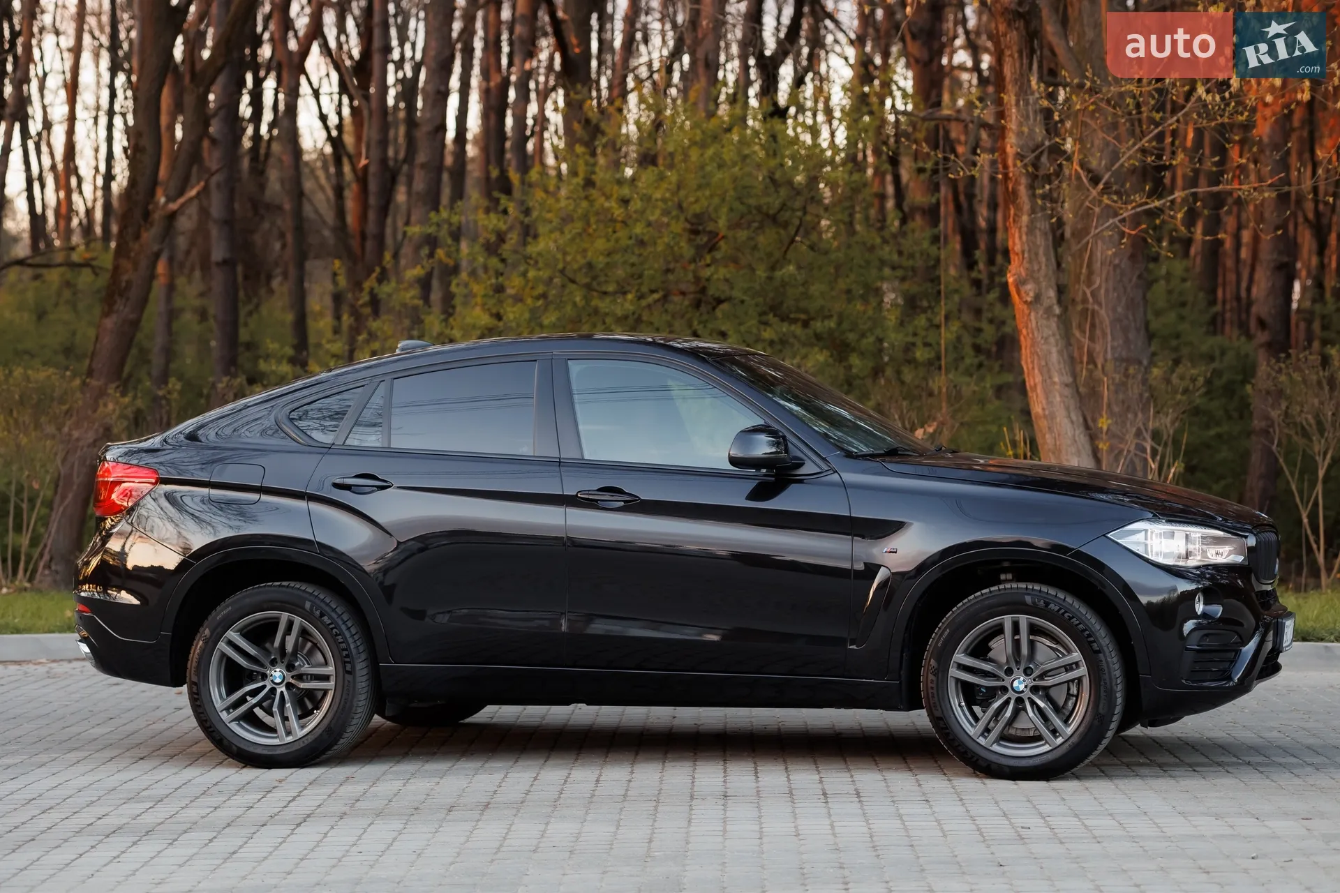 2017 BMW X6 - мініатюра 11