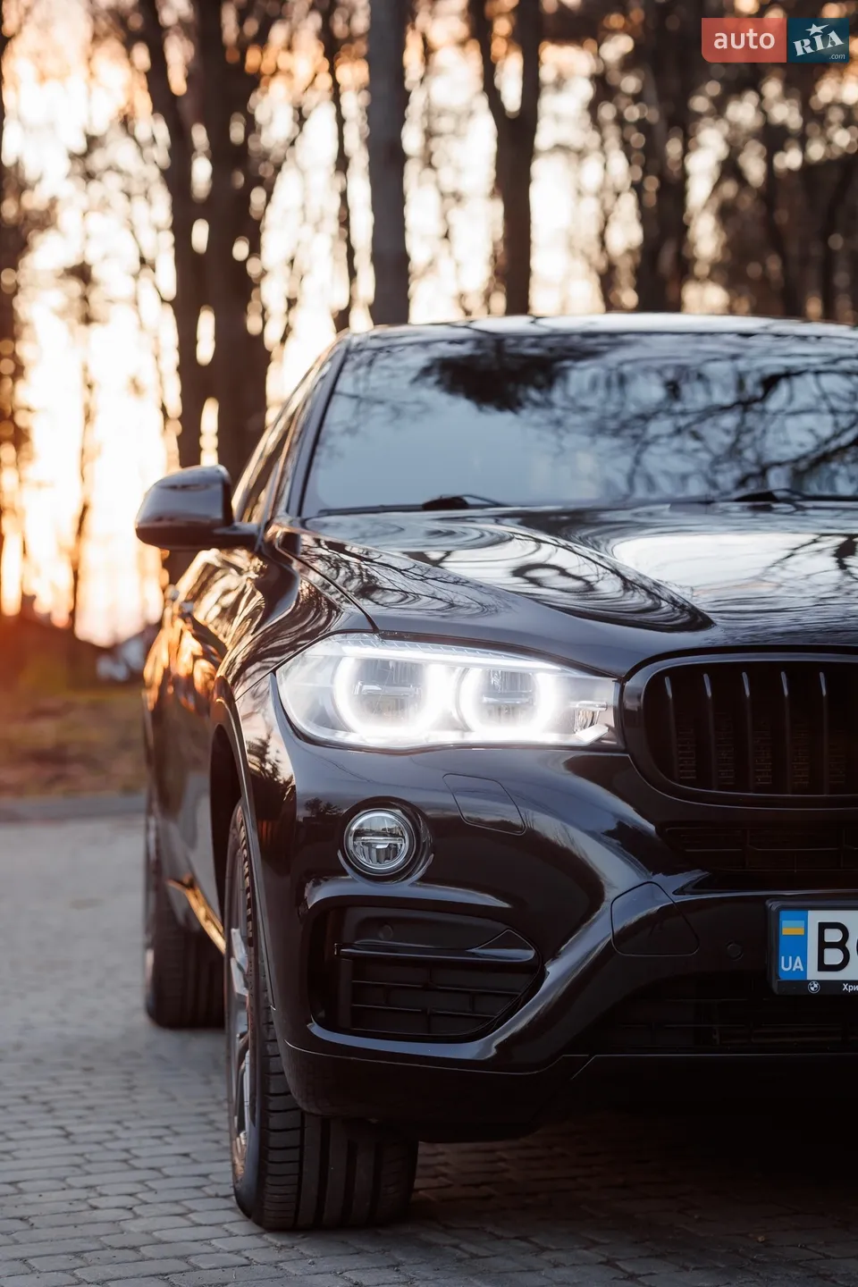 2017 BMW X6 - мініатюра 18