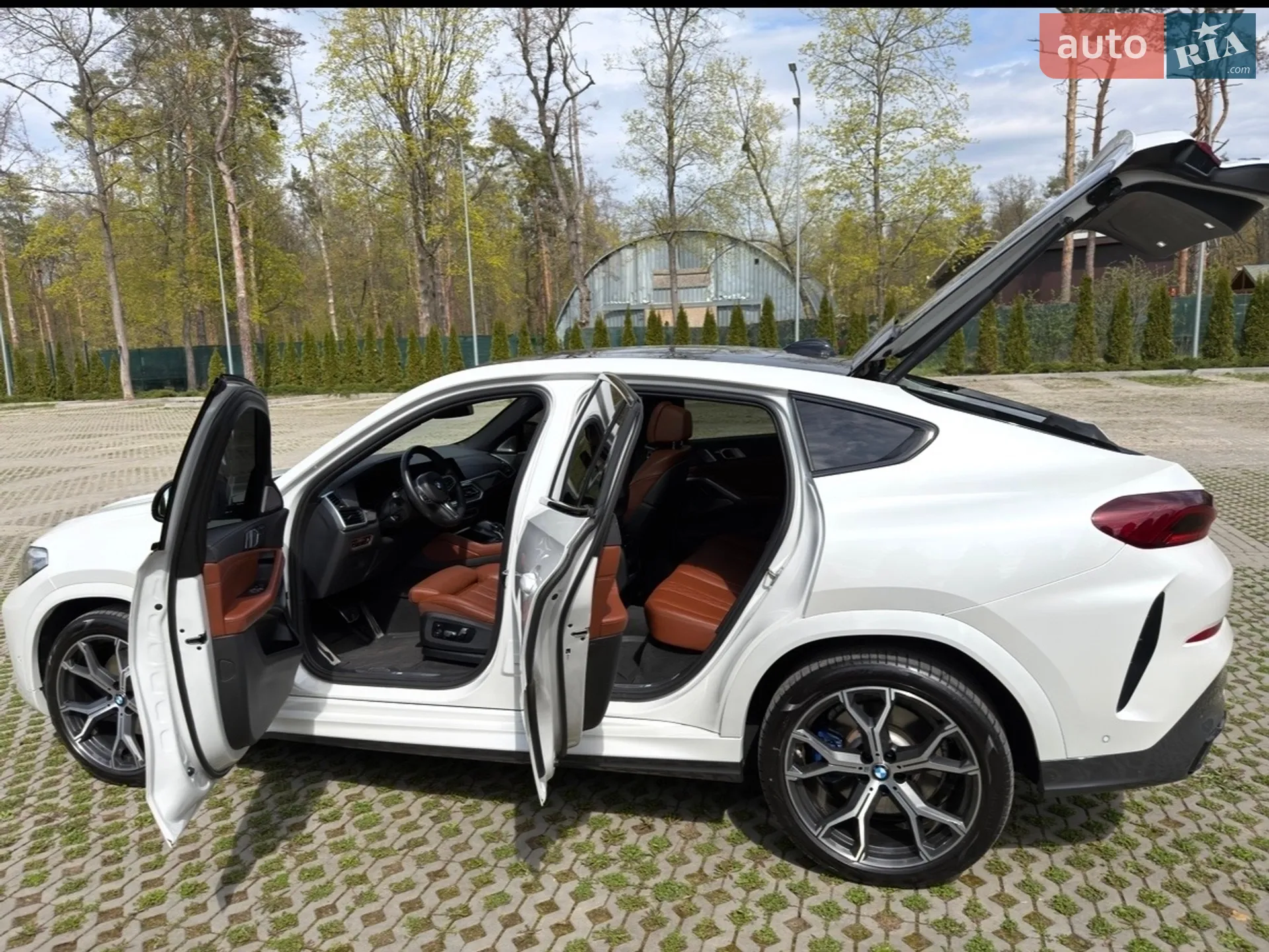 2021 BMW X6 - мініатюра 8