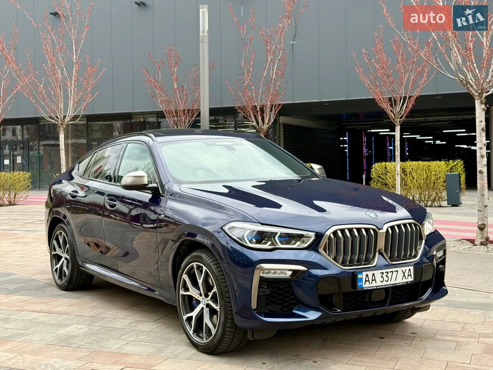 2020 BMW X6 - мініатюра 4