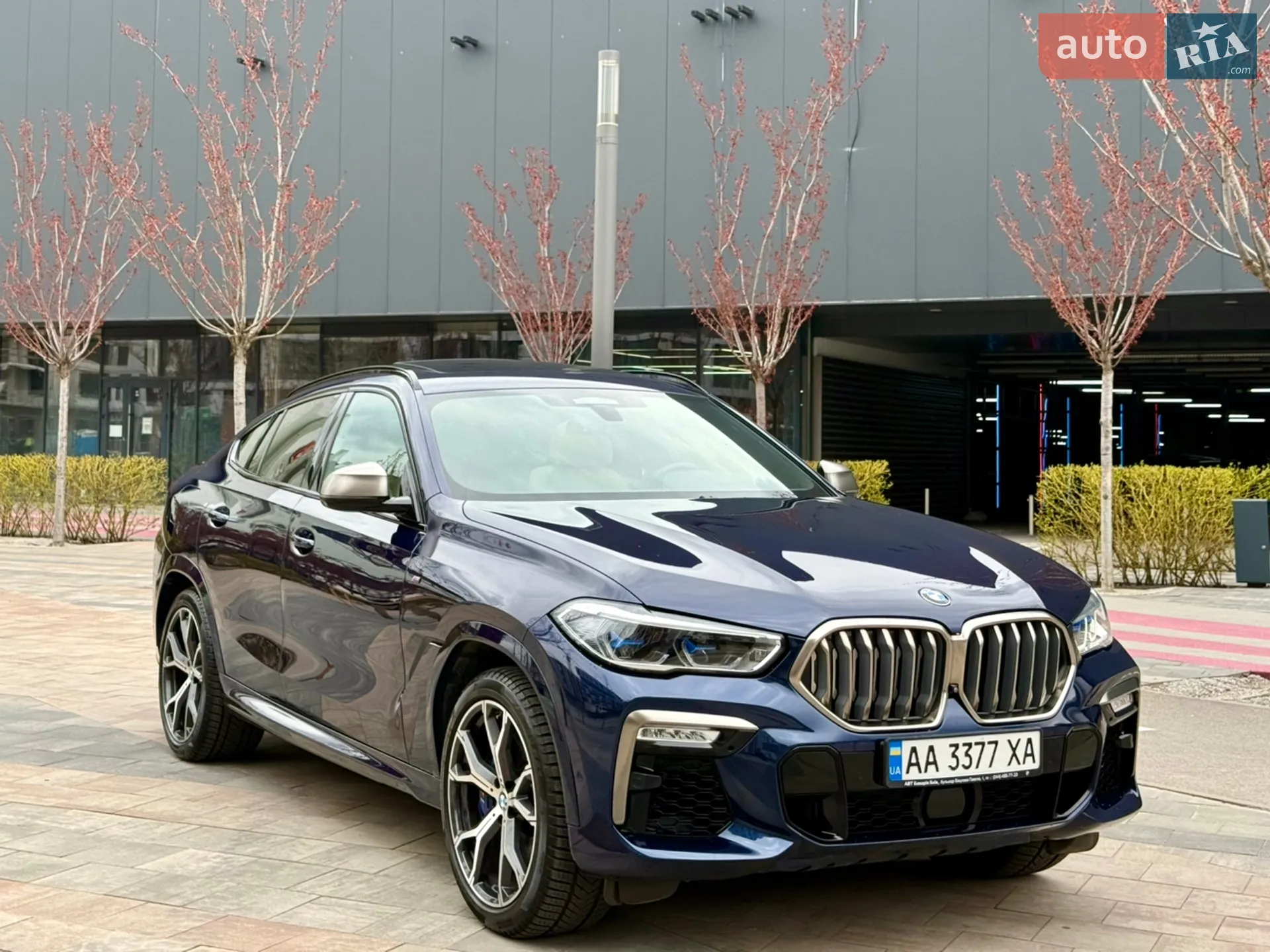 2020 BMW X6 - мініатюра 13