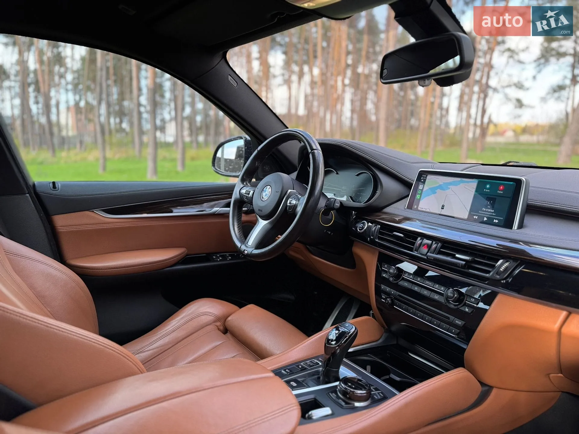 2017 BMW X6 - мініатюра 21