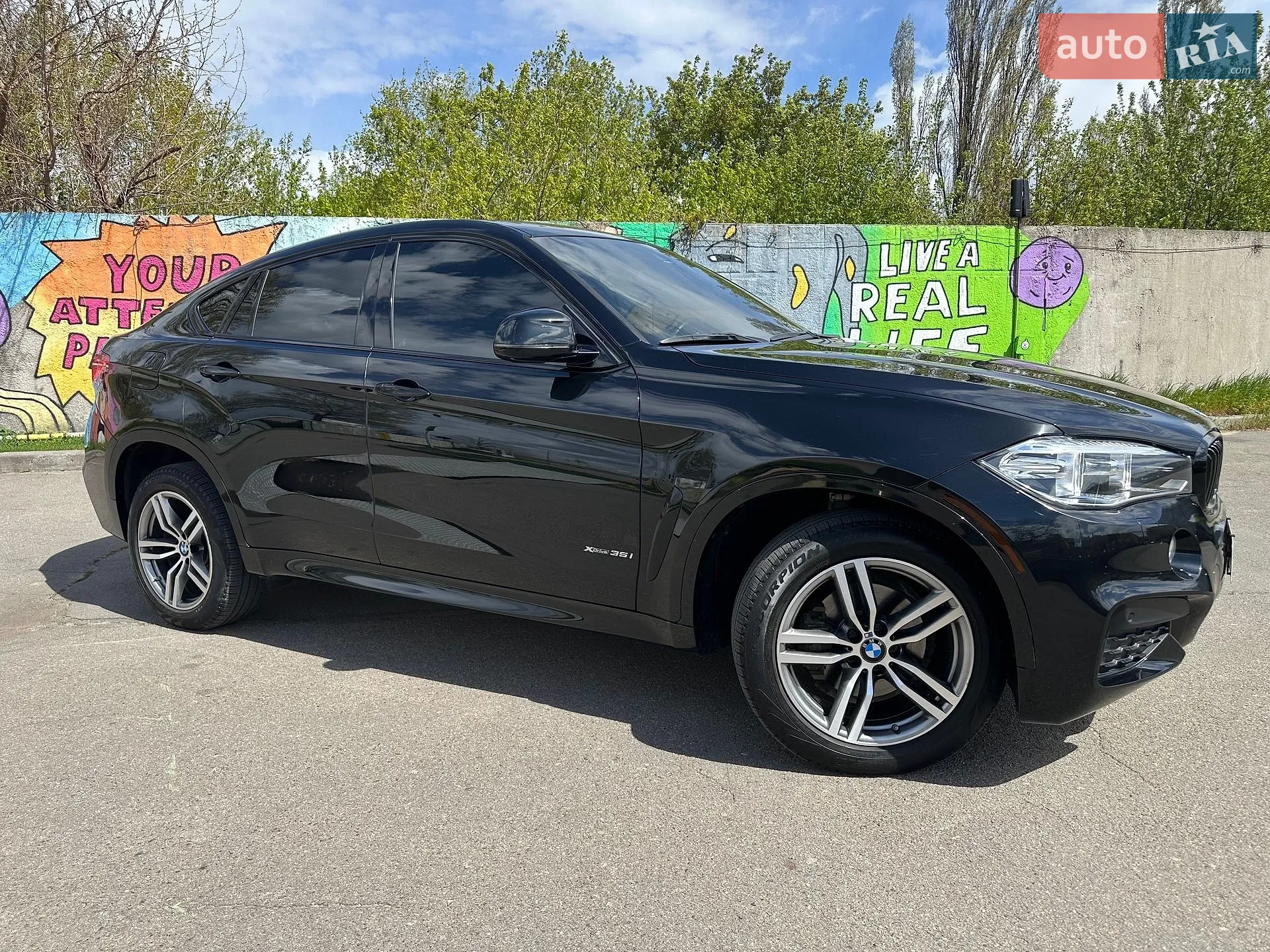2016 BMW X6 - мініатюра 3