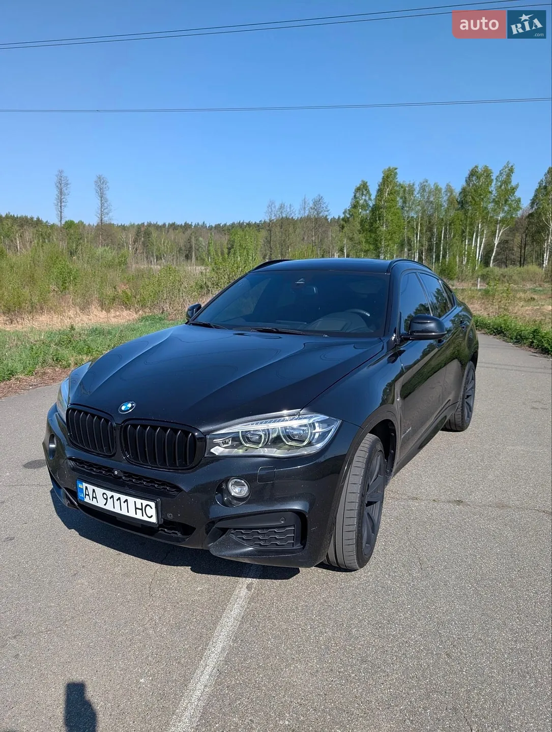 2014 BMW X6 - мініатюра 2