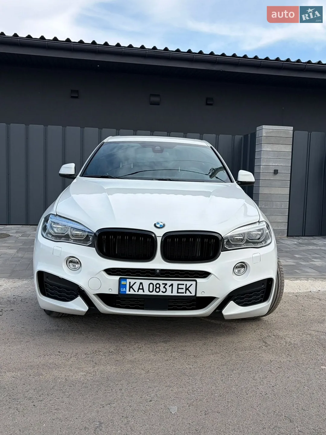 2019 BMW X6 - мініатюра 3