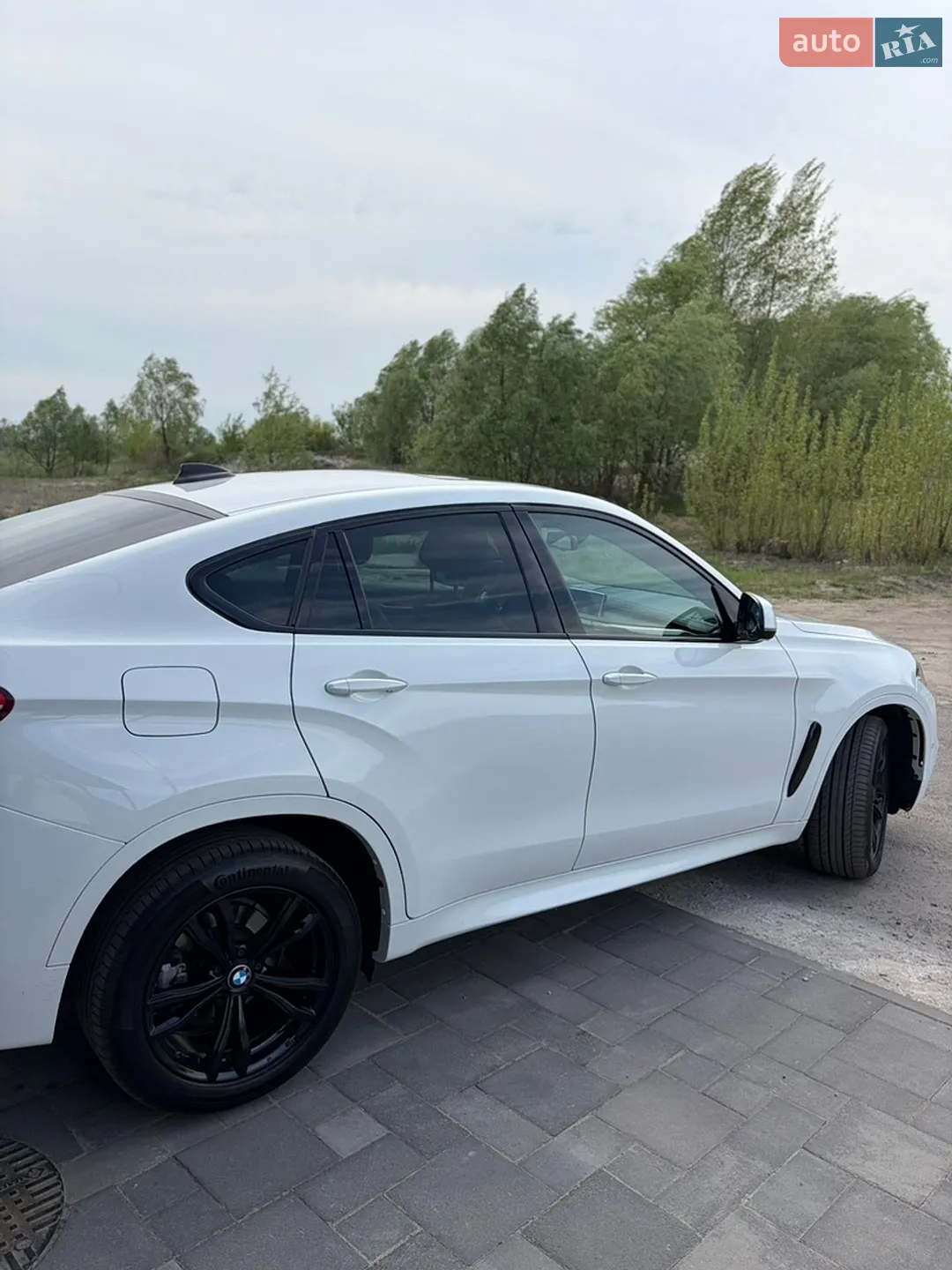 2019 BMW X6 - мініатюра 5