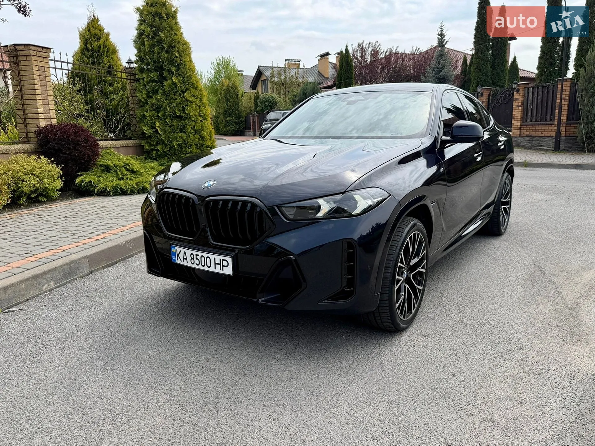 2023 BMW X6 - мініатюра 5