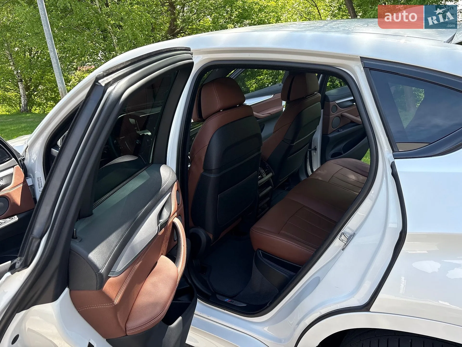 2019 BMW X6 - мініатюра 36