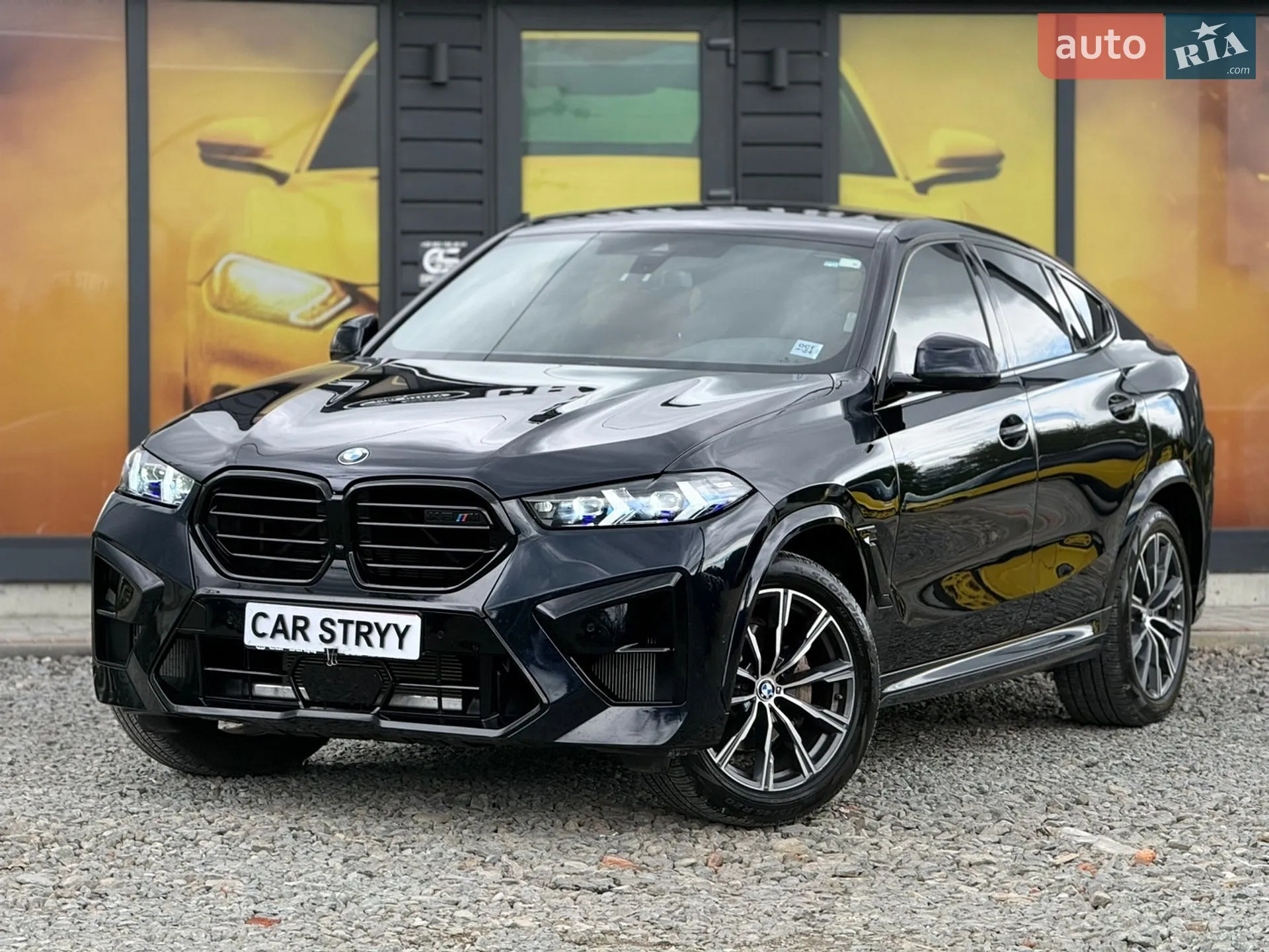 2021 BMW X6 - мініатюра 6
