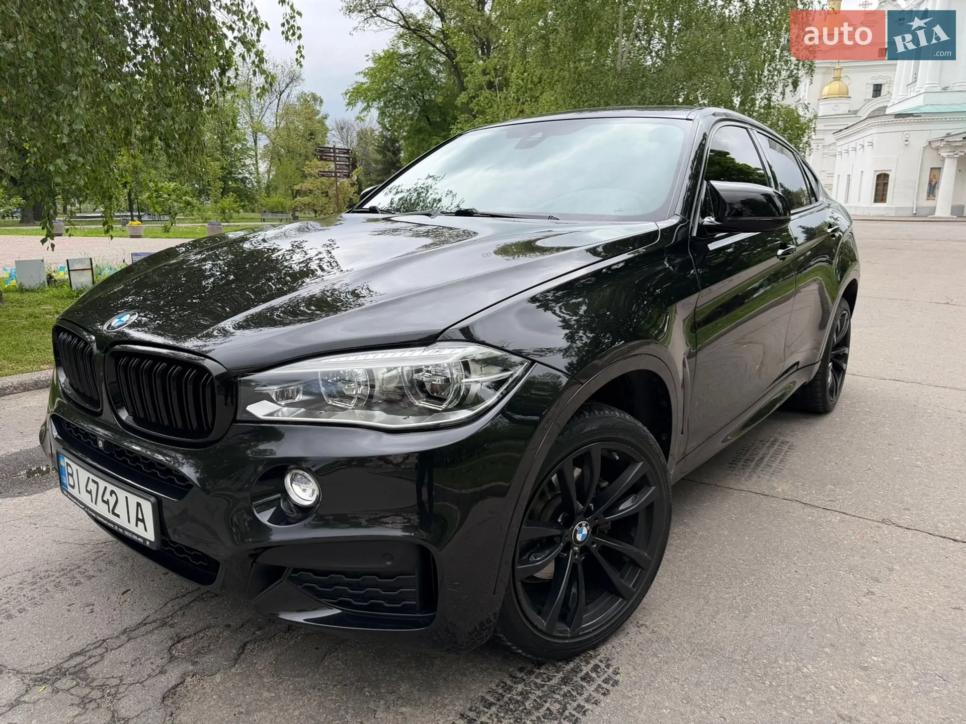 2017 BMW X6 - мініатюра 5