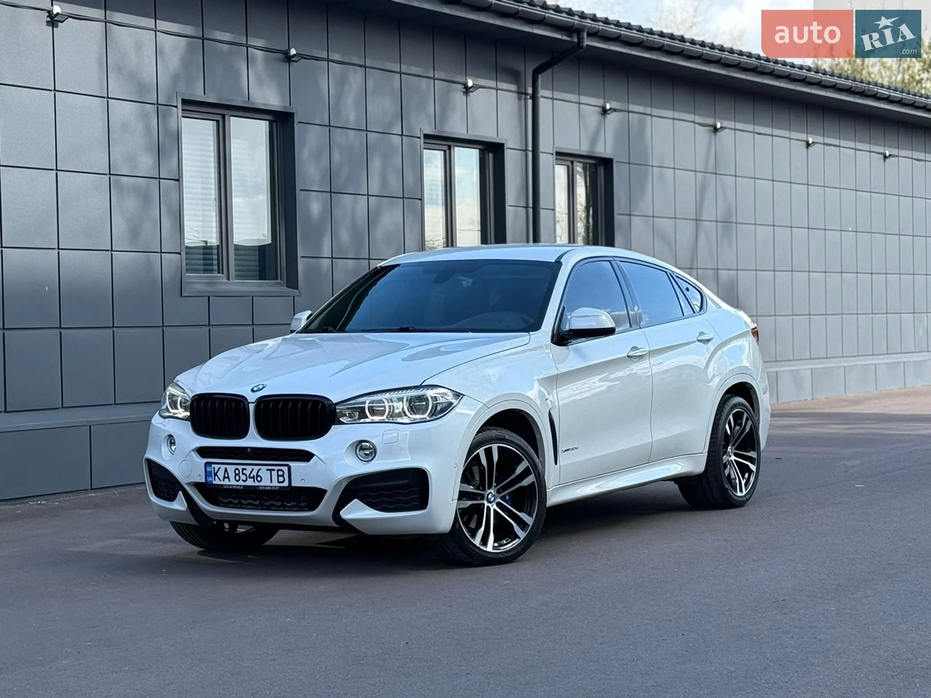 2018 BMW X6 - мініатюра 5