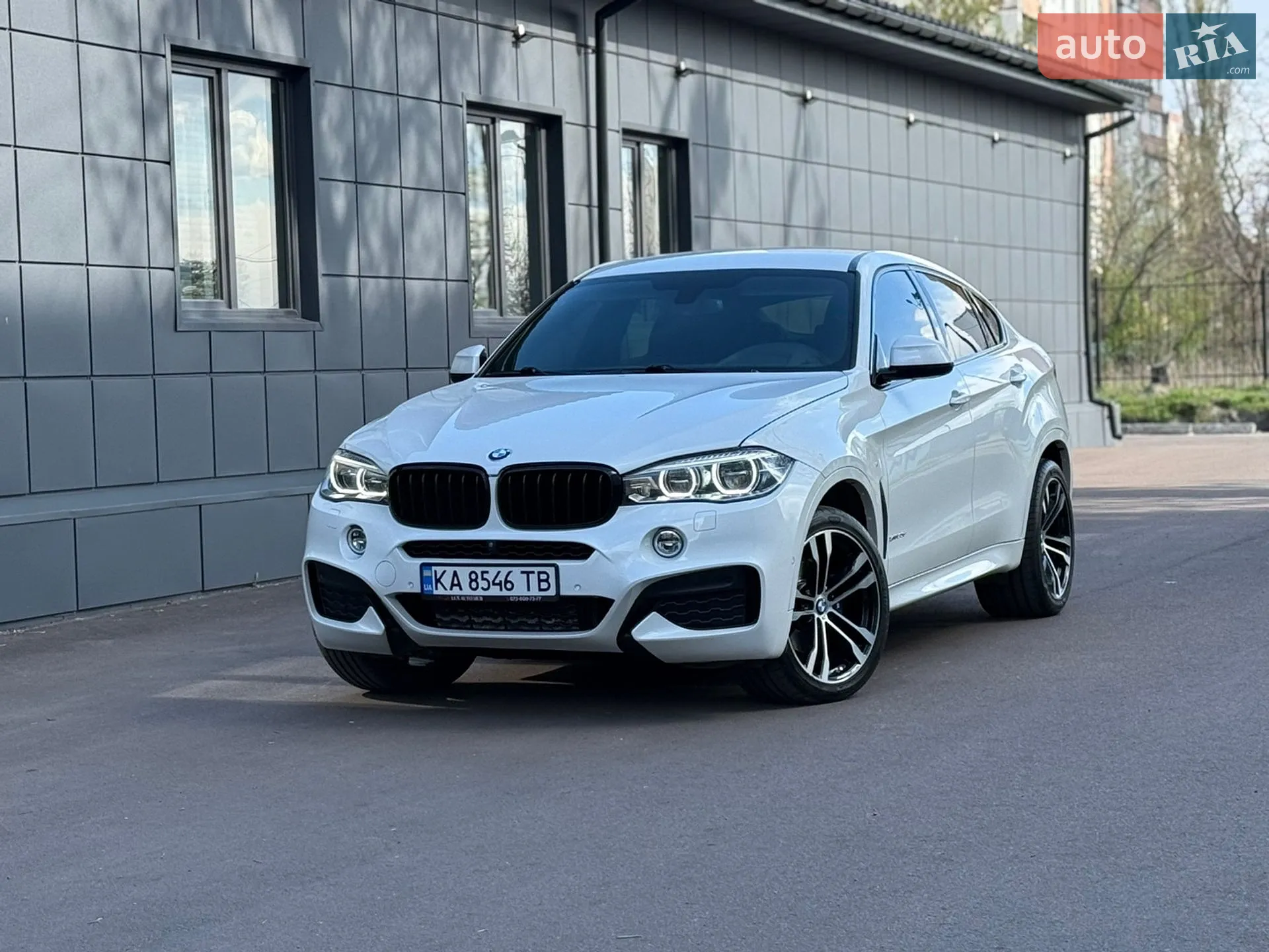2018 BMW X6 - мініатюра 3