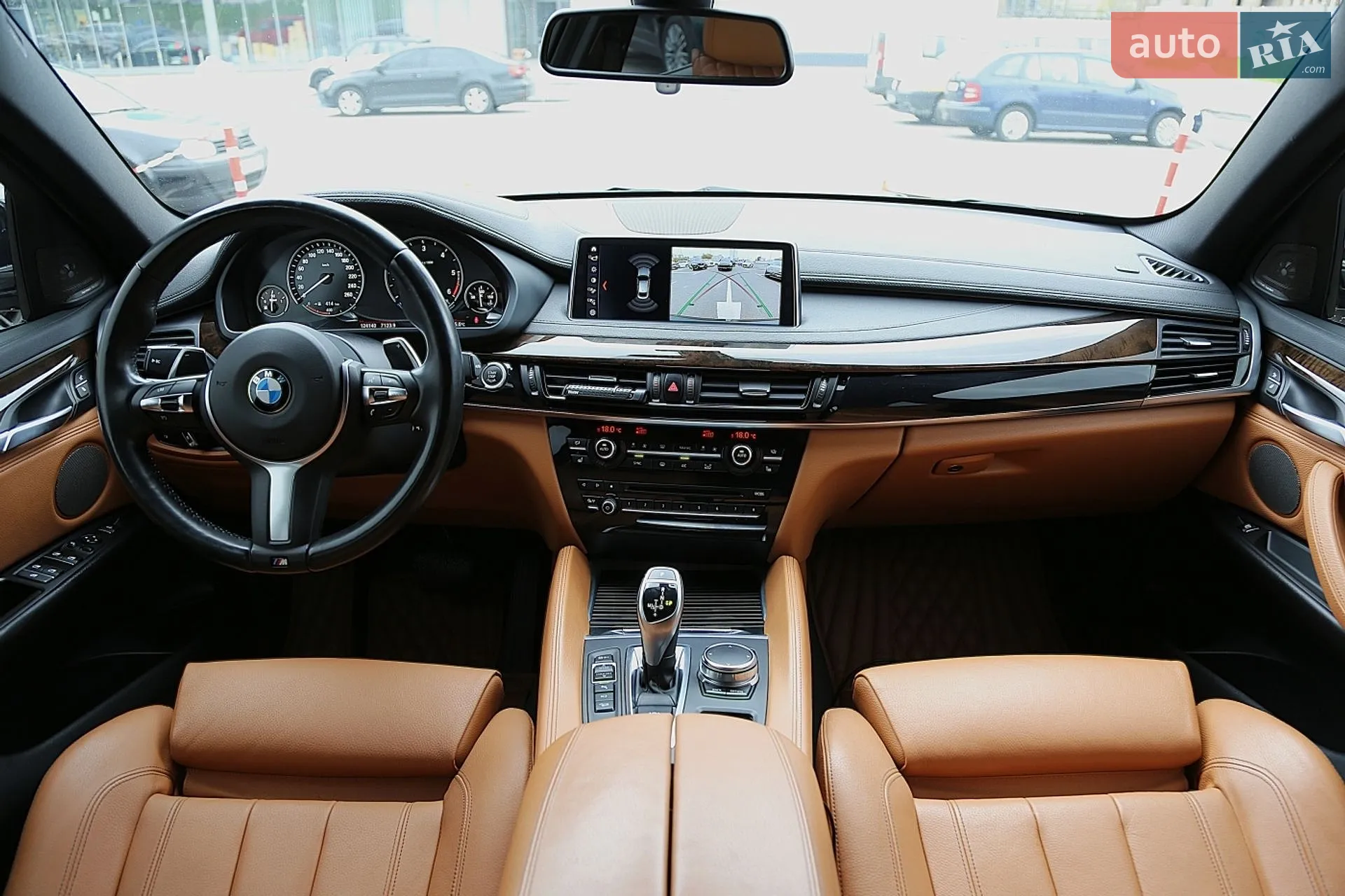 2017 BMW X6 - мініатюра 10